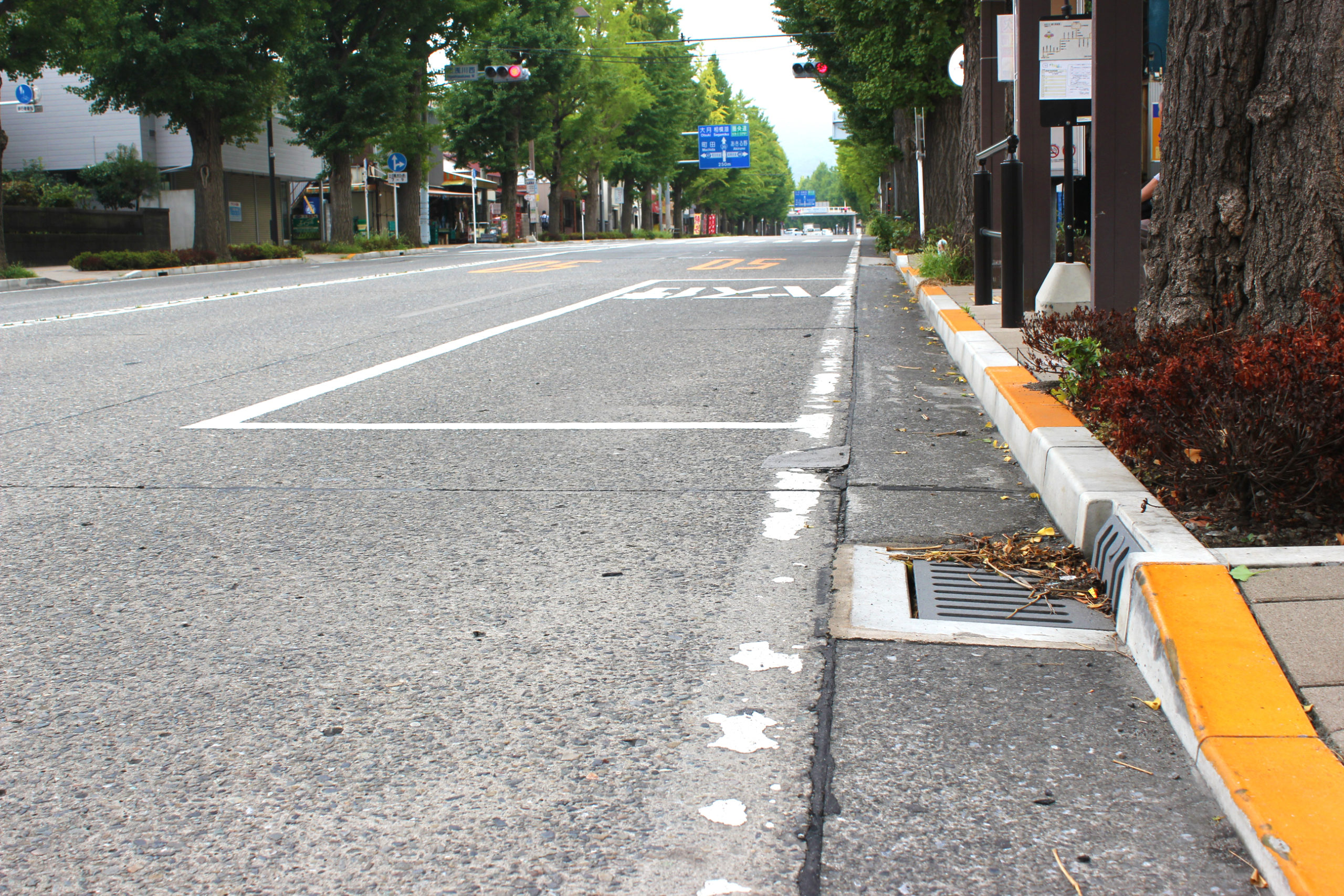 自転車の車道走行安全対策への対応