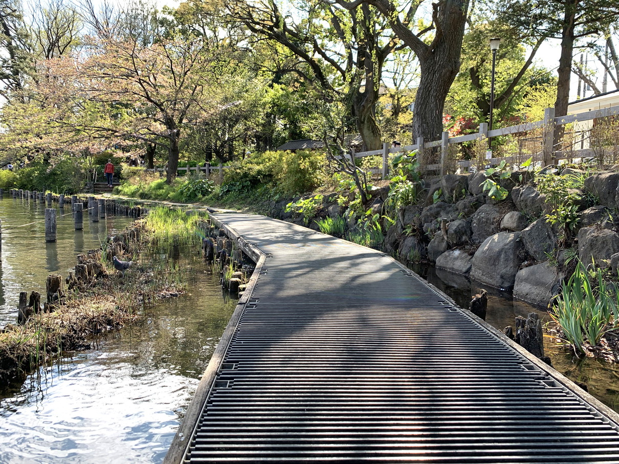 東京都大田区洗足池公園　遊歩道　平成6年8月竣工